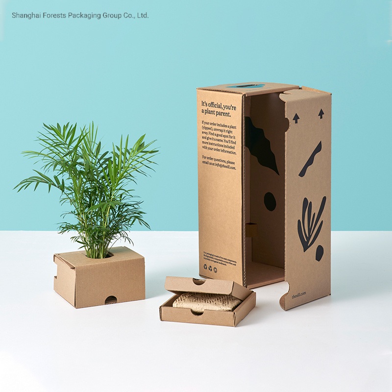 Potted Live Natural Plant Corrugated Packaging Plant Paper Box Custom Printed Shipping Boxes – Plant Packaging Shipping Box and Plant Packaging Mailer Box price
