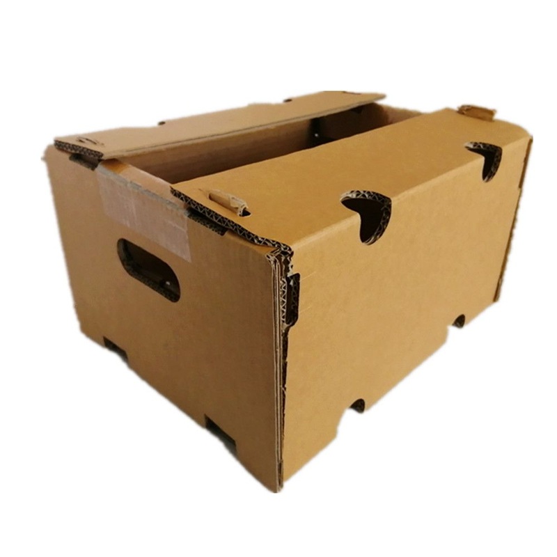 Durable Corrugated Paper Cartons for Fruits Packaging Folding Vegetable Case with Breath Holes Strong Capacity Fruit Protect Box – Vegetable Case Box and Fruit Protect Box price