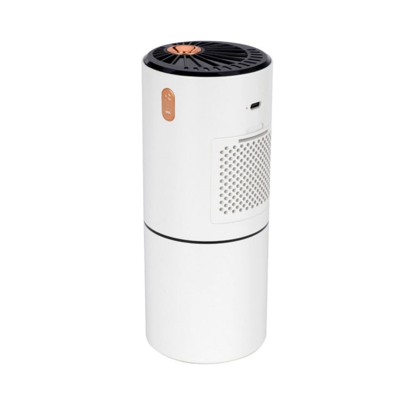 230ML 2 In 1 Air Humidifier Spray Moisturizing Negative Ion Car Air Purifier(White)