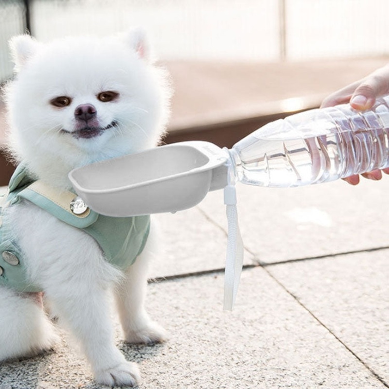 Pet Square Bowl Drinking Head Cat Portable Accompanying Cup Dog Drinking Fountain