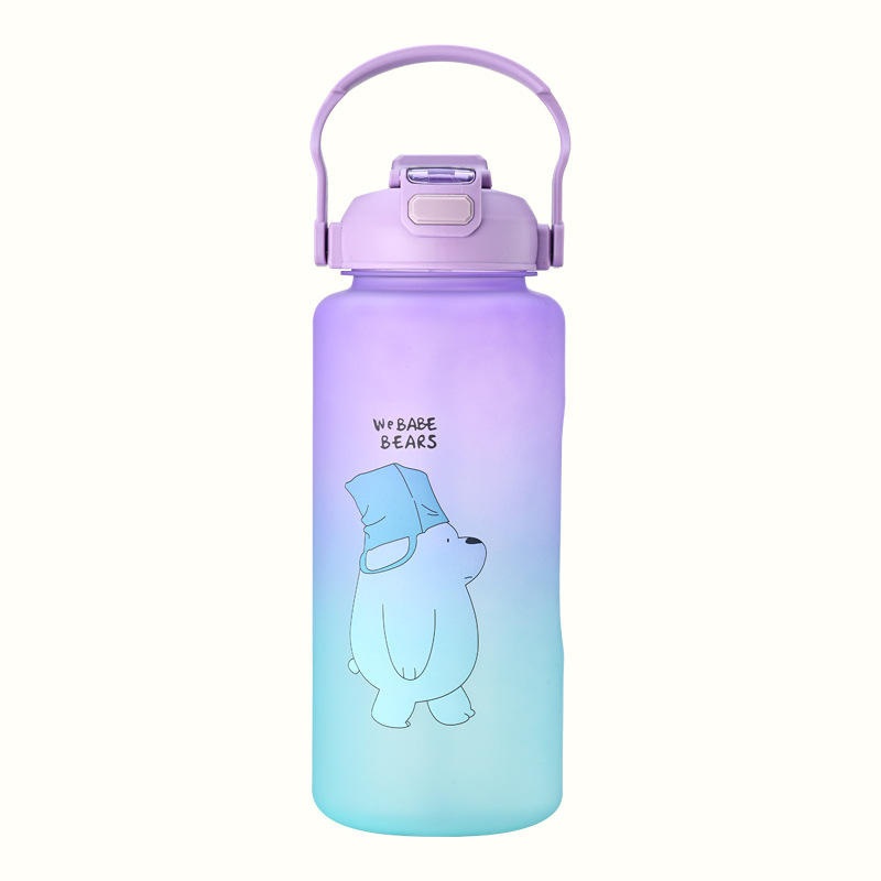 Matte Gradient Color Two Drinking Ways with 2PCS Set Plastic Water Bottles – Bottle and Vacuum Flasks price