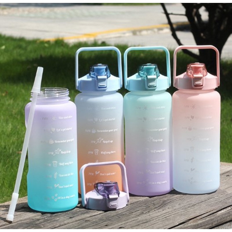 Logo Print BPA Free Biking Cycling Hiking Travel Bottle Sports Gym Big Capacity PE Plastic Water Bottle with Straw and Handle – Water Bottles and Space Water Bottle price