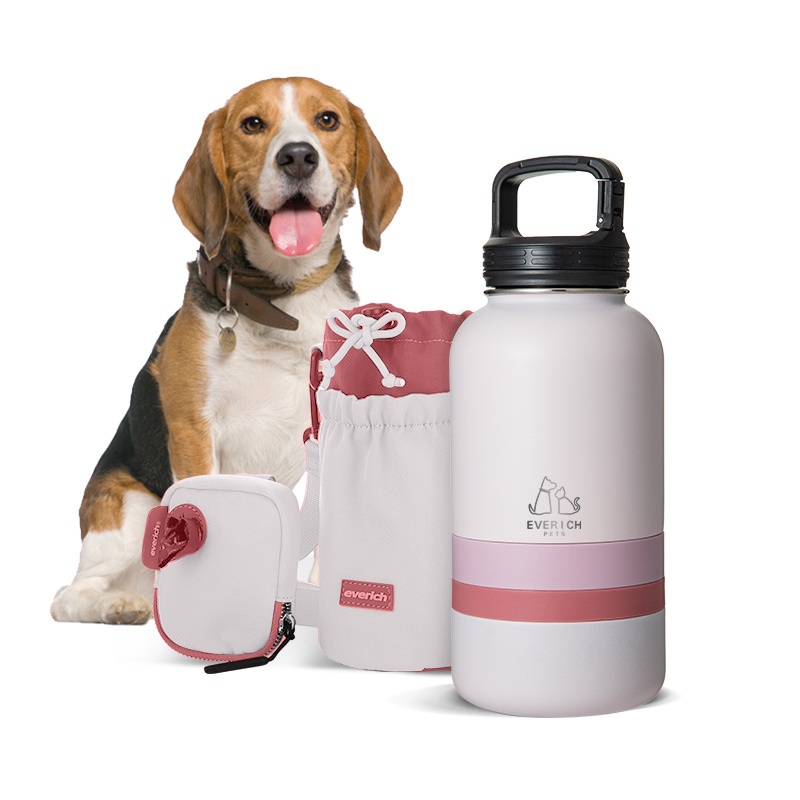 Popular Pet Water Bottle with Metal Single Wall Storage Food Bowl and BPA-Free Plastic Food Bowl – Pet and Pet Bottle price