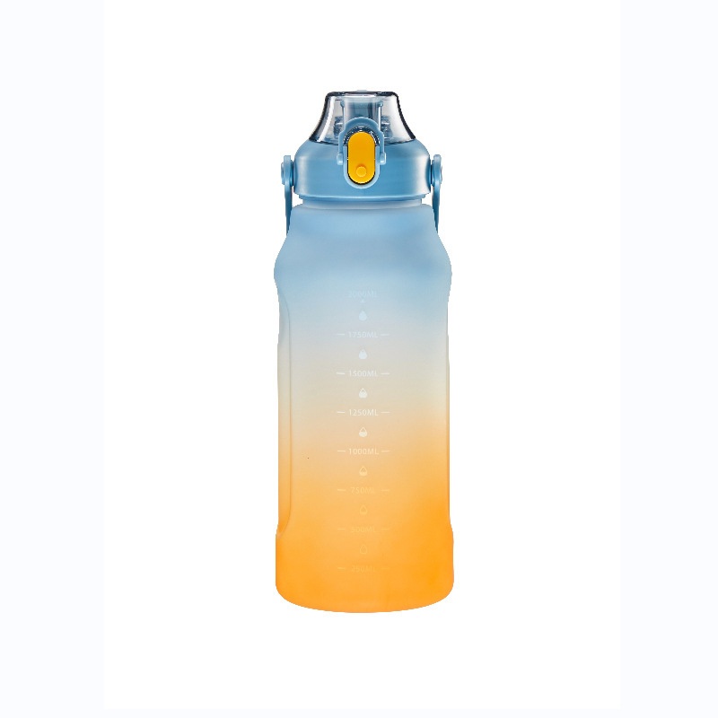 Large Capacity Straw Coloured Water Bottle Frosted Gradient Colour Sports Bottle – Bottle and Sports Bottle price