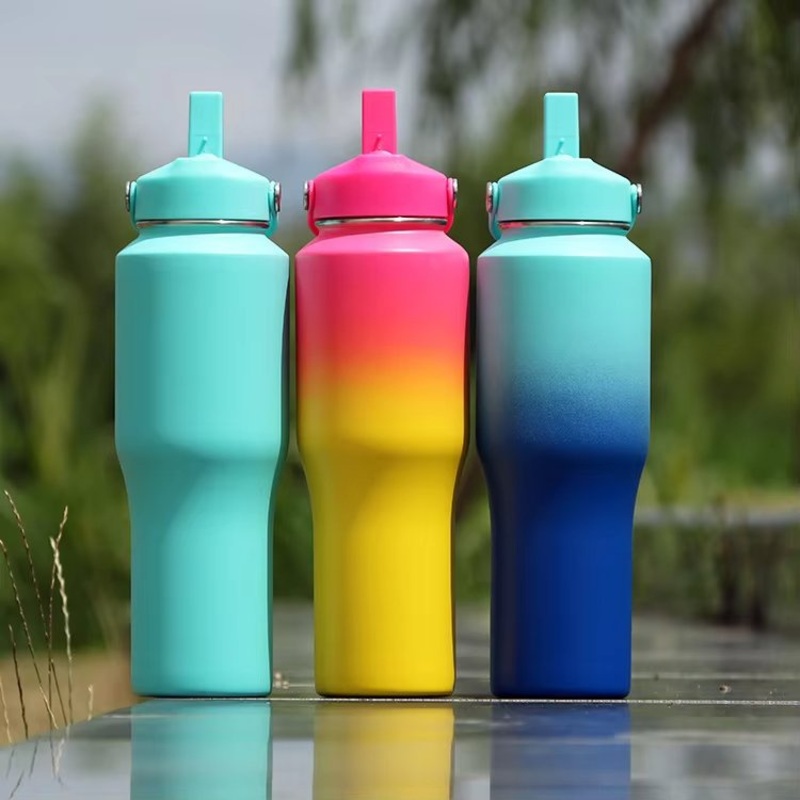 Stainless Steel Insulated Water Bottle with Mount Holder and Straw Spout – Double Wall Water Mugs and Water Bottles price