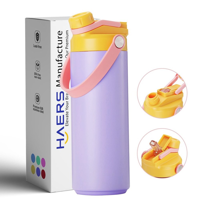 Haers Stainless Steel Double Layer Coffee Drink Water Bottle with Lid and Handle – Water Bottle and Drink Bottle price