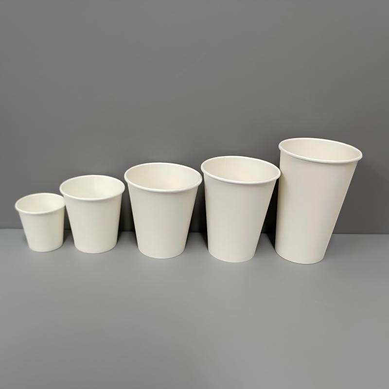 Wholesale High Quality White Paper Cup Single Wall for Hot Cold Drink Coffee Tea Take out – Wholesale Paper Cups and White Single Wall Paper Cup price