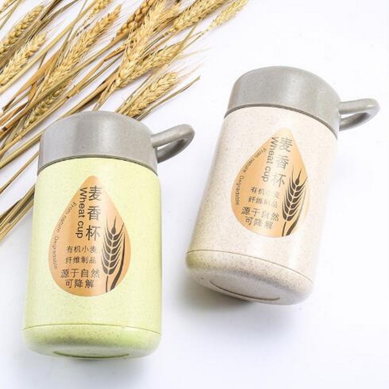 Wheat Straw Glass Double Layer Water Cup – Mug and Wheat Straw Cup price