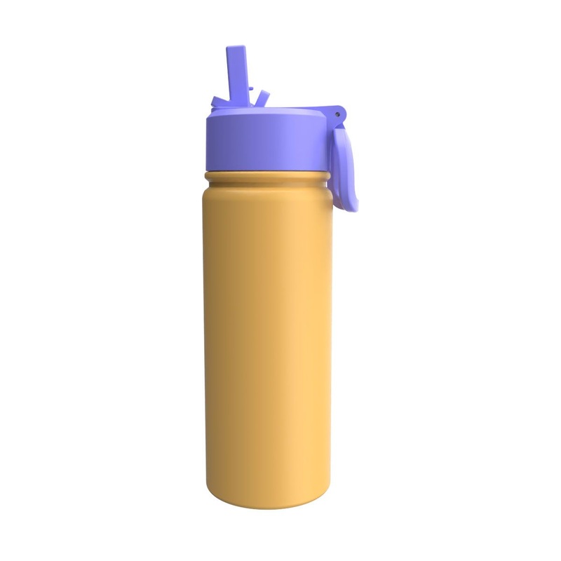 Portable Outdoor 304 Stainless Steel BPA Free Water Bottle with Straw – Water Bottle and Bottle price