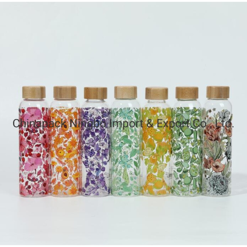Borosilicate Glass Bottle Gift 550ml Water Bottle – Water Bottle and Outdoor price
