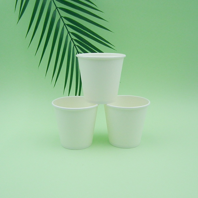 Wm1748 Biodegradable Disposable Custom Packaging Paper Cup10oz Water-Based Coffee Paper Cup Wholesale – Paper Cup and Coffee Paper Cup price