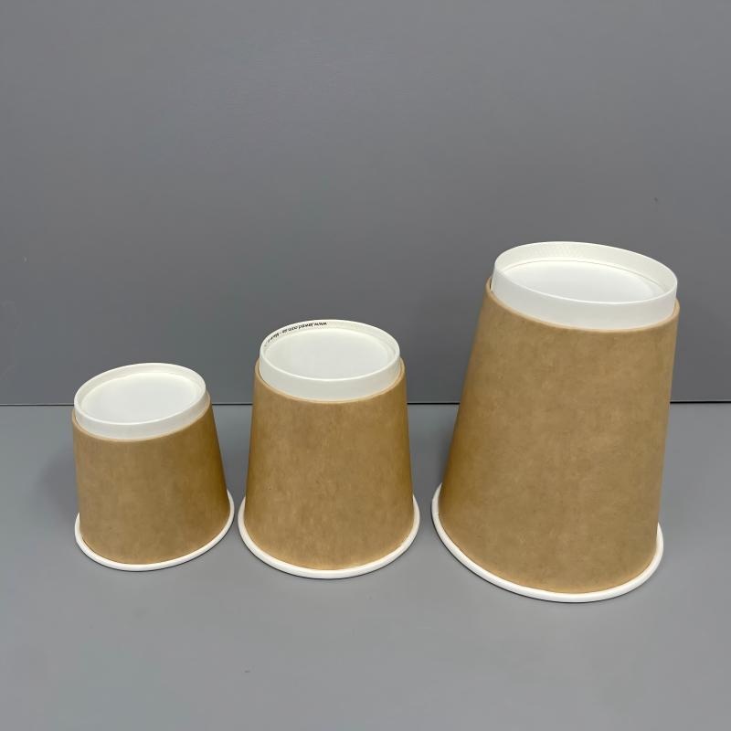 Custom Eco-Friendly Double Wall Paper Cup Disposable Single Serving Hot Cold Beverages – Disposable Double Wall Cups and Eco-Friendly Paper Cups price