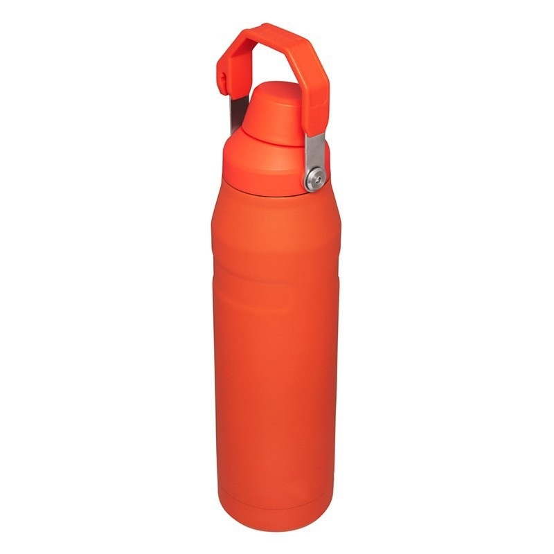 Kids Bottle with Straw Cap Vacuum Insulated Stainless Steel Water Bottle – Insulated Bottle and Bottle price