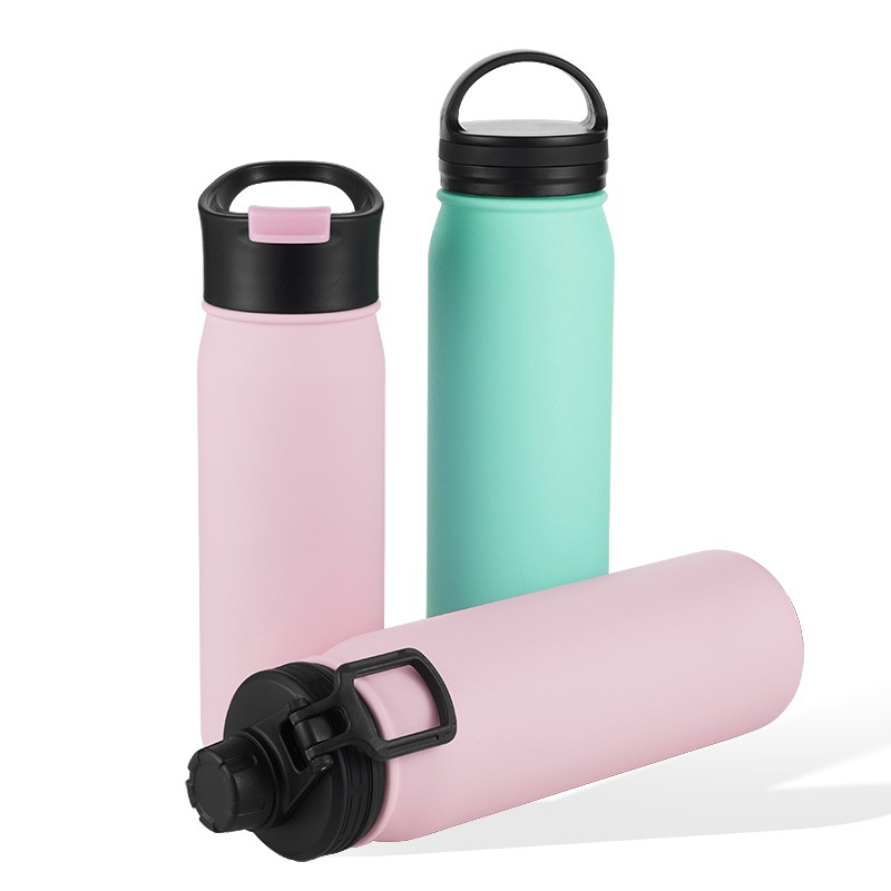 Custom Logo Straw Handle Lid Stainless Steel Insulated Fruit Infuser Water Bottles with New Design – Double Wall Stainless Steel and Vacuum Insulated Flask price