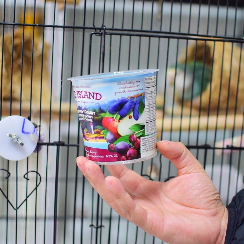 Disposable 7oz 200ml 210ml 8oz 240ml Ice Cream Yogurt Plastic Paper Cup – Plastic Paper Cup and Disposable Paper Cup price