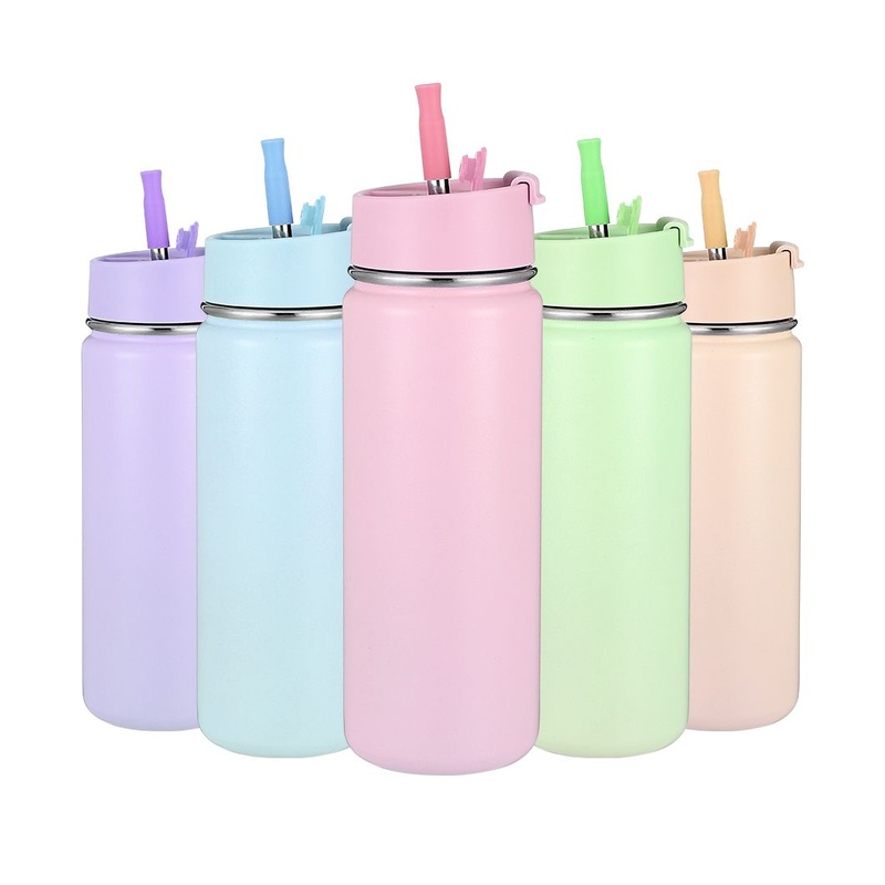 Everich Double Wall Vacuum Stainless Steel Insulated Water Bottle with Straw and Flip Lid – Double Wall Stainless Steel and Vacuum Insulated Bottle price