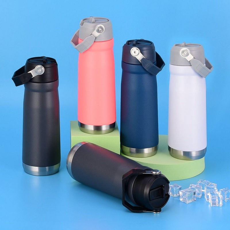 Manufacturer 0.65L Leakproof Insulated Stainless Steel Water Bottles with Flip Straw – Bottles with Flip Straw and Stainless Steel Water Bottles price