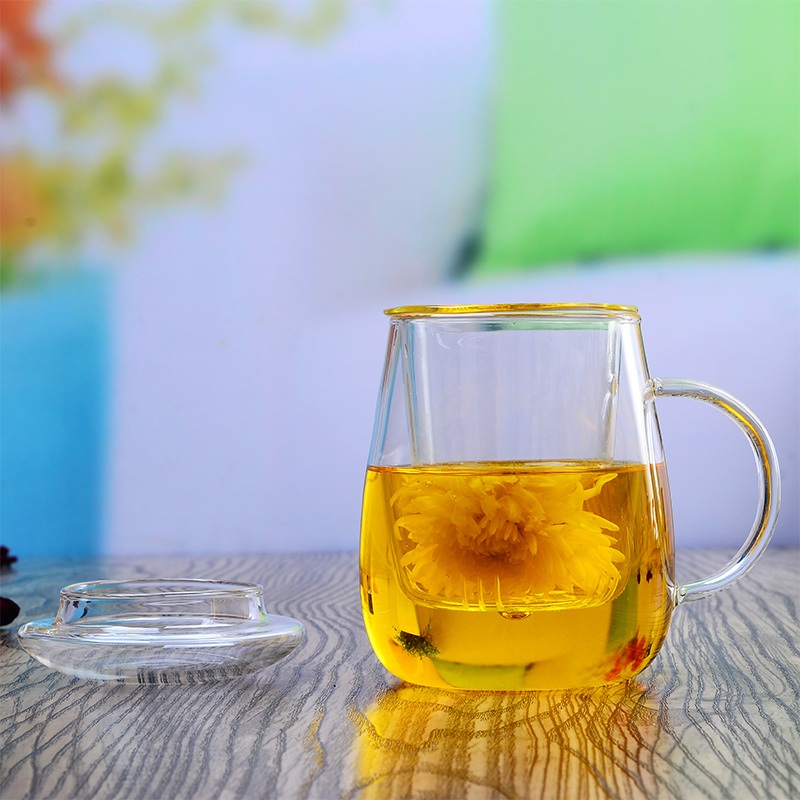 300ml 500ml Double Wall Borosilicate Glass Tea Cup with Infuser – High Borosilicate Glass Water Cup and Water Cup price