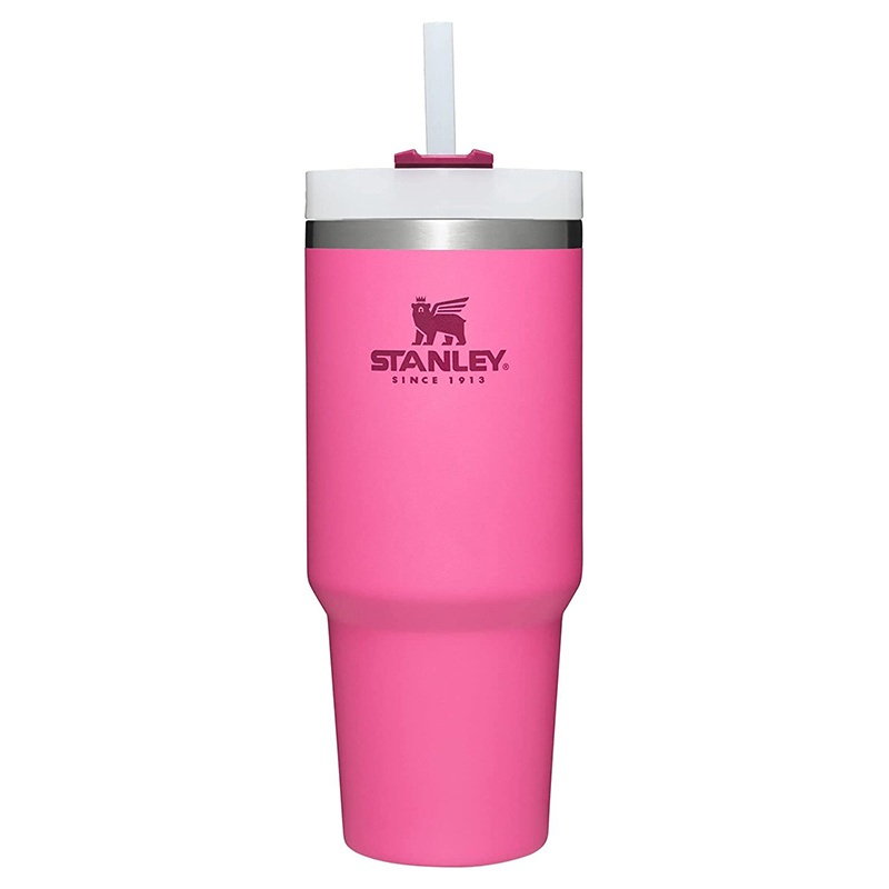 Wide Mouth Stainless Steel Insulated Water Bottle with Handle and Straw Lid – Double Wall Water Bottles and Travel Mug price
