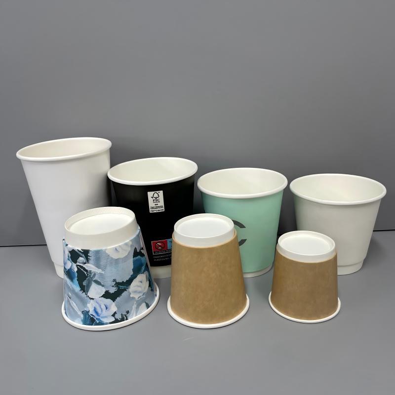 Luxury Environment Friendly Double Wall Paper Cup – Eco-Friendly Paper Cups and Biodegradable Double Wall Cup price