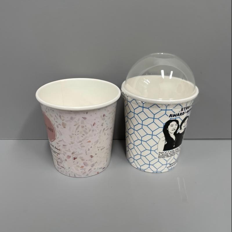 Frozen Dessert Ice Cream Container Cup with Lid Ice Cream Packaging – Ice Cream Paper Cup and Custom Ice Cream Cups price