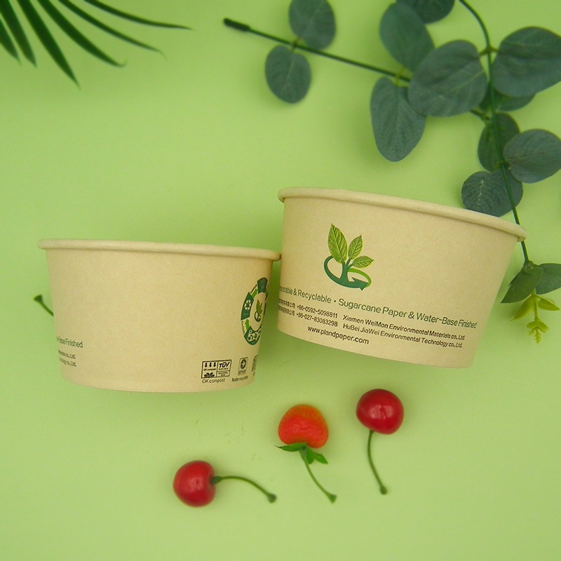 B1083 16oz PLA Coated Disposable Paper Soup Cup – Paper Cup and Icecream Cup price