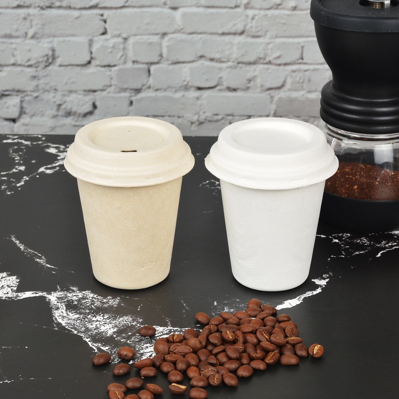 3oz Biodegradable Disposable Paper Coffee with Lid Eco Friendly Juice Cup – Disposable Corrugated Hot Cup Sleeves and Disposable Cup 8oz price