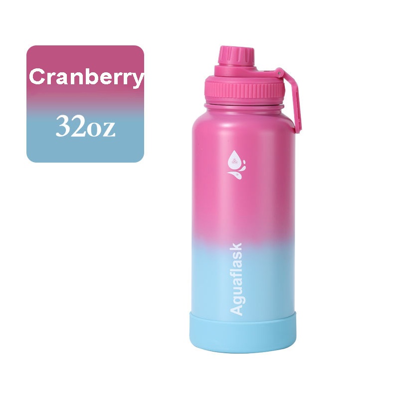 Sport Insulated Water Bottle with Leakproof Spout Lid – Stainless Steel Tumbler and Stainless Steel Tumblers price