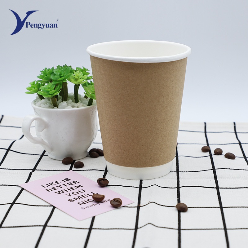 Biodegradable Cup Disposable Cup Double Wall Cup – Double Wall Paper Cup and Disposable Paper Cup price