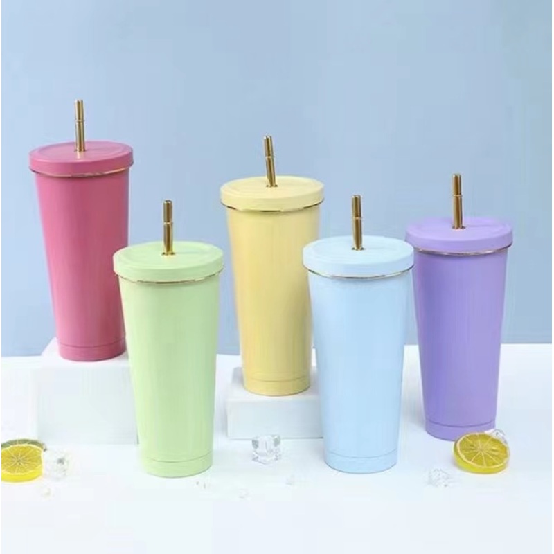 New Hot Seller 750ml Stainless Steel Vacuum Insulation Tumblers with Leak-Proof Lid and Straw – Metal Tumbler and Double Wall price