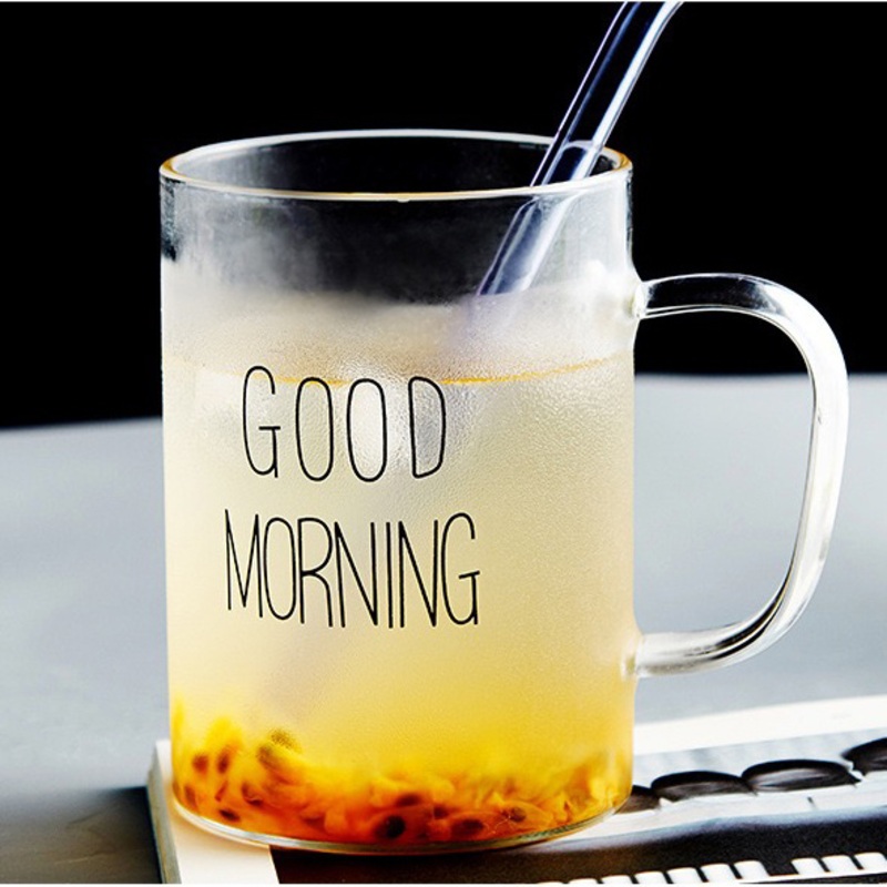 450ml High Borosilicate Glass Water Mug, Cold Water Drinking Glasses – Glass Mug and Glass Cup with Handle price
