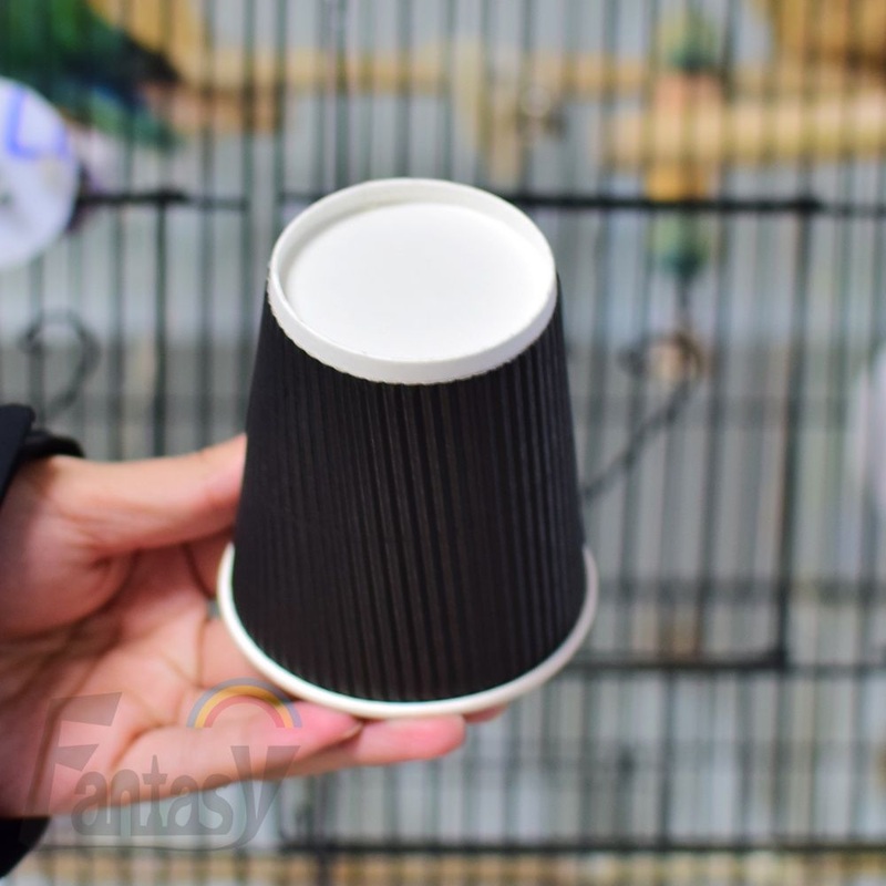 Biodegrade with Lid Ripple Wall Cups Customized Logo Disposable Drinking Coffee Cup – Paper Cup and Coffee Paper Cup price