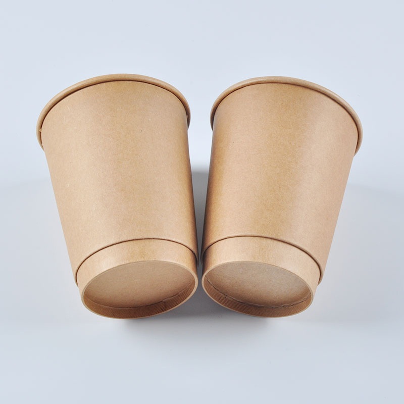 Disposable Double Walls Coffee PLA Paper Cup with Lid – Paper Cup and Coffee Cup price