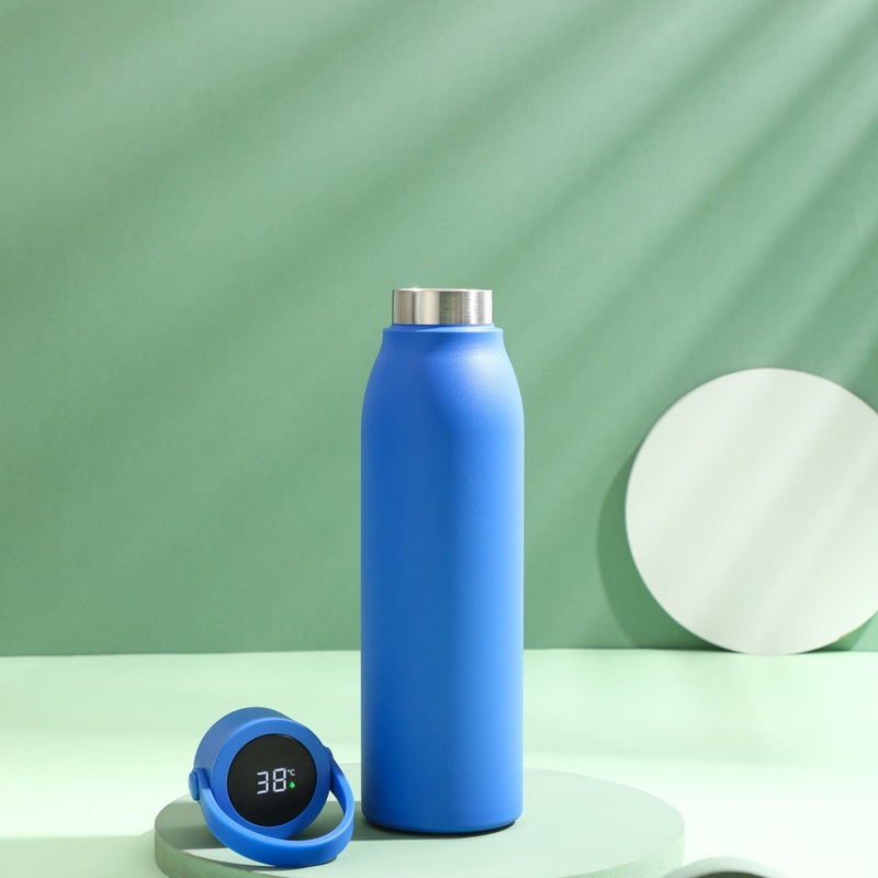 America Fahrenheit Temperature Display Digital Lid Double Wall Vacuum Flask – Smart Bottle and Smart Cup price