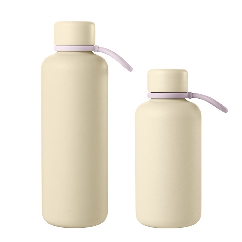 Holiday Small Mouth Leak-Proof Lid-Dishwasher Safe Sweat-Free 18/8 Stainless Steel Insulated Water Bottle – Tumbler and Stainless Steel Water Bottle price