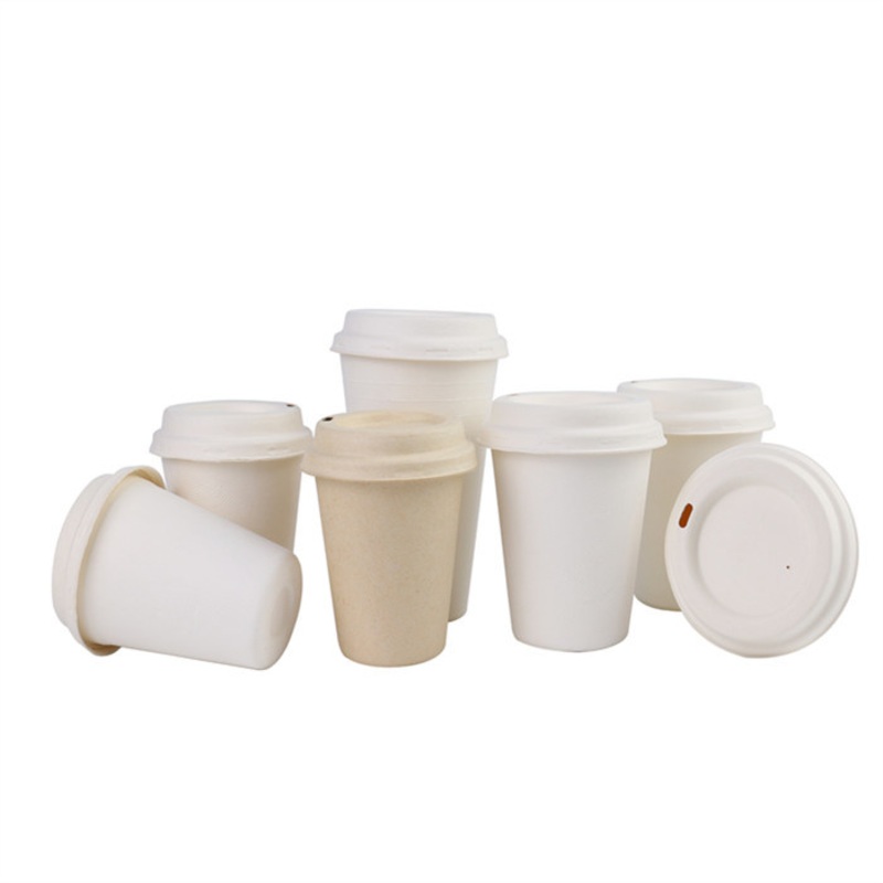 8oz 260ml Disposable Biodegradable Compostable Cup Paper Coffee Sugarcane Bagasse Cup – Paper Cup and Bagasse Cup price