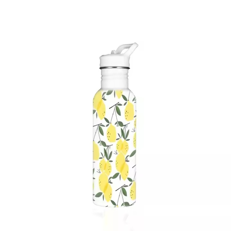 Reusable Bottles Sport with Handle Stainless Steel Water Bottle – Stainless Steel Water Bottle and Water Bottle price