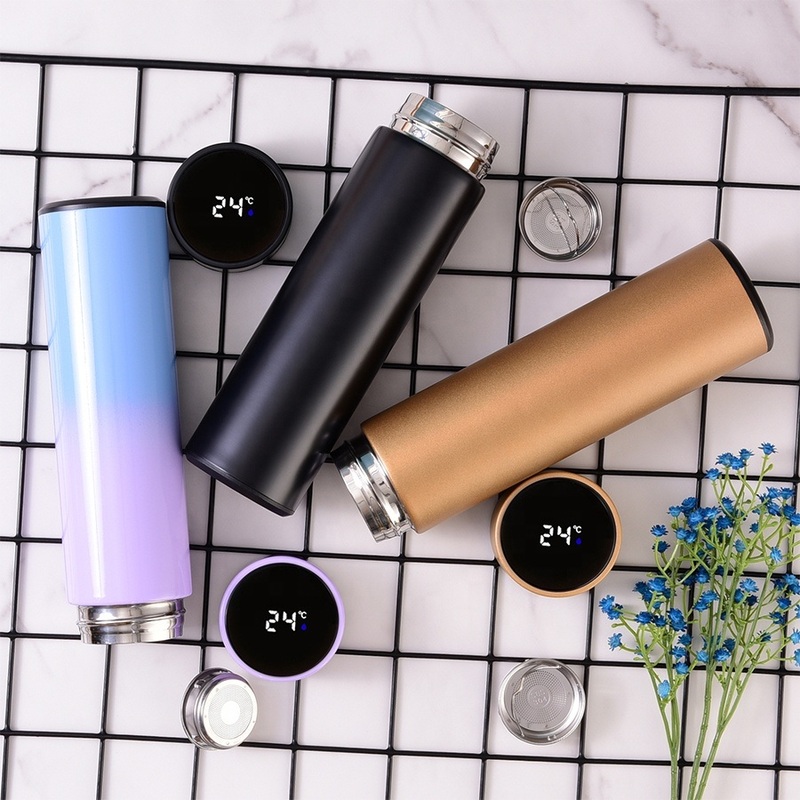 Double Wall Vacuum Insulation 500ml Tumbler Stainless Steel Smart Water Bottle with LED Temperature Display – with LED Temperature Display and Smart Water Bottle price