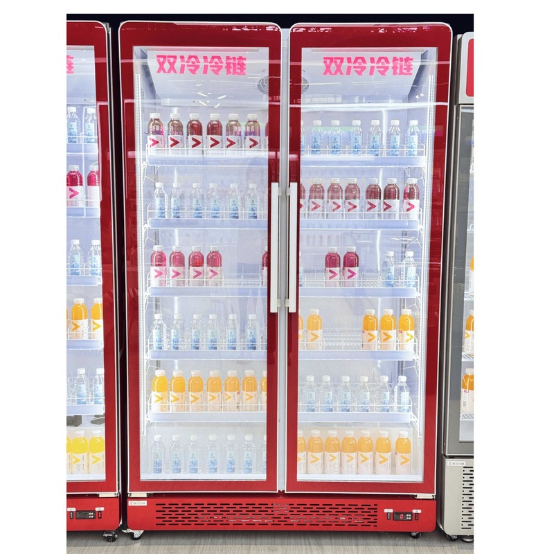 Two Door Full Lenhth Glass Door Beverage Cooler with Fan Cooling System – Premium Beverage Cooler and Double Layer Cooler price