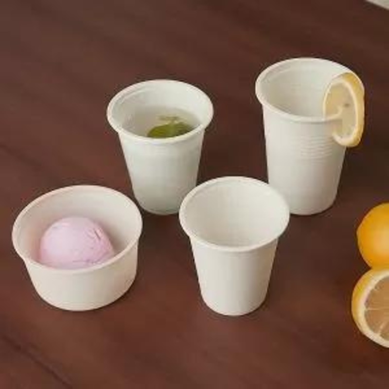 Wholesale Cheapest Hot Water Mug Biodegradable Disposable 8 Oz Coffee Cup with Lhb-02 – Biodegradable Disposable Cup and Mug price