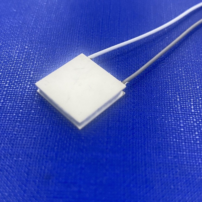 Mini 20X20mm Medical Cosmetology Equipment Beauty Equipment Peltier Cooler – Thermoelectric Cooler and Peltier Cooler