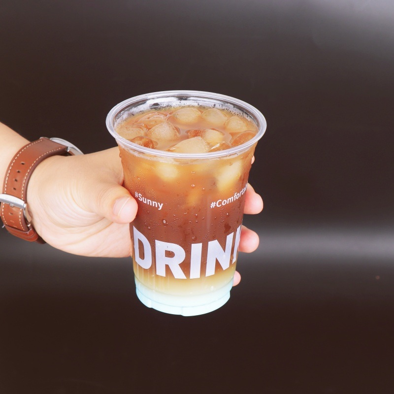 18oz Pet Drinking Plastic Cup with Lid Eco-Friendly Recyclable – Plastic Cup and Cup price