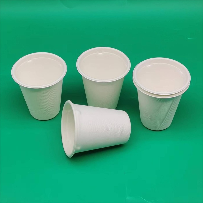 8oz Disposable Biodegradable Sugarcane Bagasse Cup Compostable Coffee Cups for Hot & Cold Liquids – Bagasse Cups and Cups price
