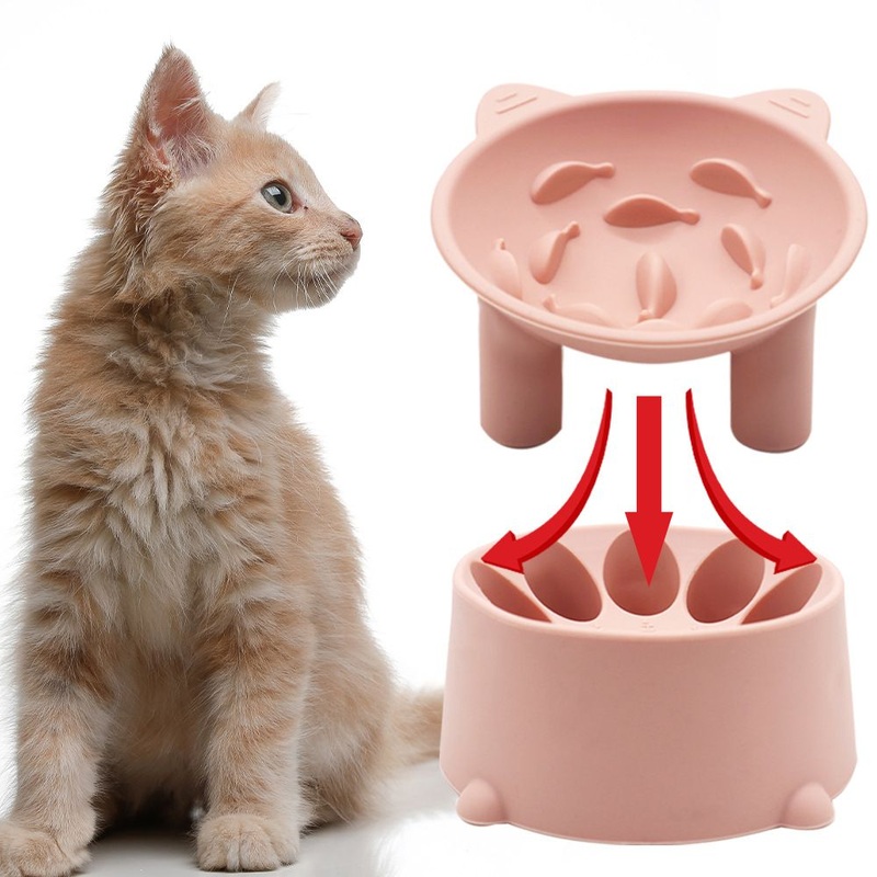 Dog and Cat Food and Water Bowl Slow Eating – Dog Products and Cat Bowl price